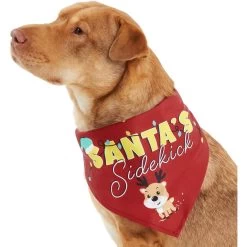 Frisco Santa's Sidekick Dog & Cat Bandana 12 Frisco Santa's Sidekick Dog & Cat Bandana -Pet Cat Supplies Shop 276204 PT2. AC SS1800 V1637653065