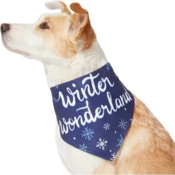 Frisco Winter Wonderland Dog & Cat Bandana -Pet Cat Supplies Shop 276279 PT3. AC SS1800 V1637688134