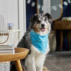 Frisco Festive Hanukkah Dog & Cat Bandana -Pet Cat Supplies Shop 276282 PT5. AC SS1800 V1637653030