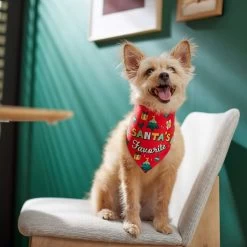 Frisco Santa's Favorite & Cheers To The New Year Dog & Cat Reversible Bandana -Pet Cat Supplies Shop 276285 PT6. AC SS1800 V1637668015