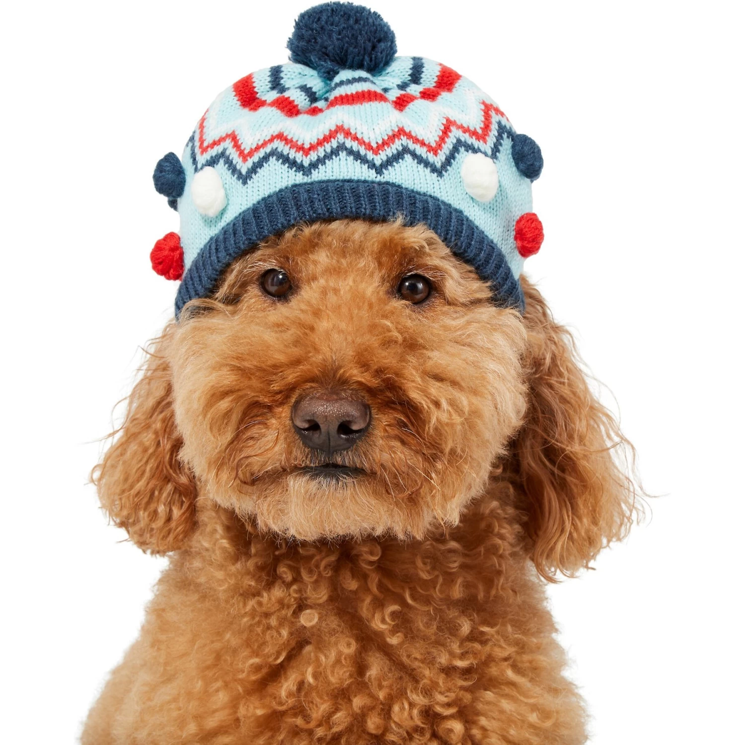 Frisco Pom Pom Dog & Cat Knitted Hat 5 Frisco Pom Pom Dog & Cat Knitted Hat - Image 3