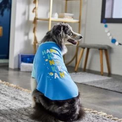 Frisco Happy Hanukkah Dog & Cat T-shirt -Pet Cat Supplies Shop 276480 PT5. AC SS1800 V1637646712