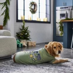 Frisco Joyful Hygge-Inspired Dog & Cat T-shirt -Pet Cat Supplies Shop 276488 PT5. AC SS1800 V1637666798