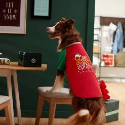 Frisco Santa I Can Explain Dog & Cat T-shirt -Pet Cat Supplies Shop 276496 PT5. AC SS1800 V1637677020