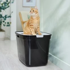 Frisco Top Entry Cat Litter Box, Extra Large