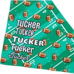 Frisco Football Personalized Dog & Cat Bandana 15 Frisco Football Personalized Dog & Cat Bandana -Pet Cat Supplies Shop 287044 PT4. AC SS1800 V1623246178