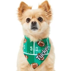 Frisco Football Personalized Dog & Cat Bandana 17 Frisco Football Personalized Dog & Cat Bandana -Pet Cat Supplies Shop 287044 PT6. AC SS1800 V1623246759
