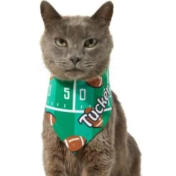 Frisco Football Personalized Dog & Cat Bandana 18 Frisco Football Personalized Dog & Cat Bandana -Pet Cat Supplies Shop 287044 PT7. AC SS1800 V1623246789