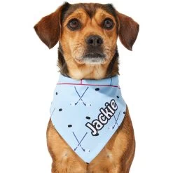 Frisco Ice Hockey Personalized Dog & Cat Bandana 17 Frisco Ice Hockey Personalized Dog & Cat Bandana -Pet Cat Supplies Shop 287048 PT6. AC SS1800 V1623246568