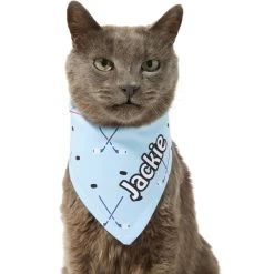 Frisco Ice Hockey Personalized Dog & Cat Bandana 18 Frisco Ice Hockey Personalized Dog & Cat Bandana -Pet Cat Supplies Shop 287048 PT7. AC SS1800 V1623246478