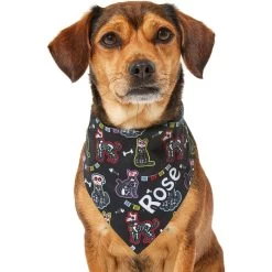 Frisco Dia De Los Muertos Personalized Dog & Cat Bandana 17 Frisco Dia De Los Muertos Personalized Dog & Cat Bandana -Pet Cat Supplies Shop 287052 PT6. AC SS1800 V1623246755