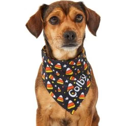 Frisco Candy Corn Personalized Dog & Cat Bandana -Pet Cat Supplies Shop 287056 PT6. AC SS1800 V1623246504