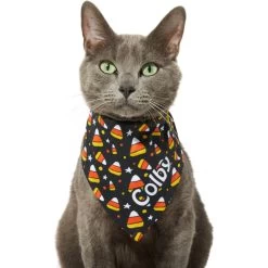 Frisco Candy Corn Personalized Dog & Cat Bandana -Pet Cat Supplies Shop 287056 PT7. AC SS1800 V1623246828