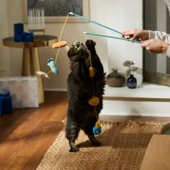 Frisco Holiday Hanukkah Teaser Cat Toy With Catnip, 2 Count -Pet Cat Supplies Shop 287277 PT3. AC SS1800 V1632771712