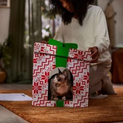 Frisco Holiday Gift Box Cardboard Cat House -Pet Cat Supplies Shop 287291 PT3. AC SS1800 V1695043502