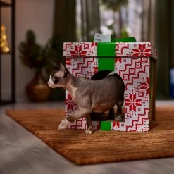Frisco Holiday Gift Box Cardboard Cat House -Pet Cat Supplies Shop 287291 PT4. AC SS1800 V1695045716