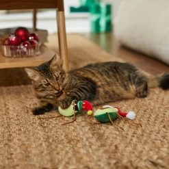 Frisco Avocados Plush Cat Toy With Catnip, 2 Count -Pet Cat Supplies Shop 287363 PT3. AC SS1800 V1632775925