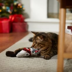Frisco Holiday Raccoon Kicker Plush Cat Toy With Catnip 8 Frisco Holiday Raccoon Kicker Plush Cat Toy With Catnip -Pet Cat Supplies Shop 287379 PT3. AC SS1800 V1632776287