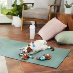 Frisco New Year, New Me Namaste Bear Plush Cat Toy With Catnip 7 Frisco New Year, New Me Namaste Bear Plush Cat Toy With Catnip -Pet Cat Supplies Shop 288947 PT3. AC SS1800 V1638289414