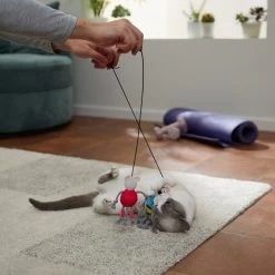 Frisco New Year, New Me Gym Bouncy Mice Plush Cat Toy With Catnip -Pet Cat Supplies Shop 288949 PT3. AC SS1800 V1638289802