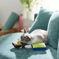 Frisco Protein Bar & Gym Membership Plush Cat Toy With Catnip -Pet Cat Supplies Shop 288951 PT3. AC SS1800 V1638290814