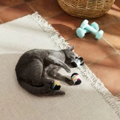 Frisco Pre-Workout & Protein Plush Cat Toy With Catnip, 3 Count -Pet Cat Supplies Shop 288953 PT3. AC SS1800 V1638287817