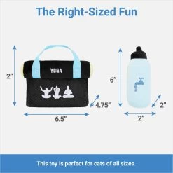 Frisco Yoga Mat & Water Bottle Plush Cat Toy With Catnip, 2 Count -Pet Cat Supplies Shop 288955 PT1. AC SS1800 V1640722966