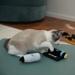 Frisco Yoga Mat & Water Bottle Plush Cat Toy With Catnip, 2 Count -Pet Cat Supplies Shop 288955 PT3. AC SS1800 V1638289648