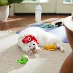 Frisco New Year, New Me Juice Cleanse Plush Cat Toy With Catnip 7 Frisco New Year, New Me Juice Cleanse Plush Cat Toy With Catnip -Pet Cat Supplies Shop 288957 PT3. AC SS1800 V1638292099
