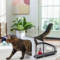 Frisco Treadmill Cardboard Cat House -Pet Cat Supplies Shop 288967 PT3. AC SS1800 V1638288289