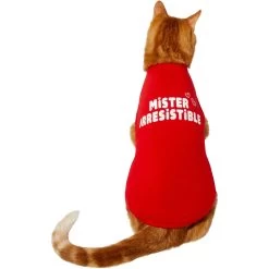 Frisco Mister Irresistible Dog & Cat T-Shirt 11 Frisco Mister Irresistible Dog & Cat T-Shirt -Pet Cat Supplies Shop 292026 PT2. AC SS1800 V1637268745