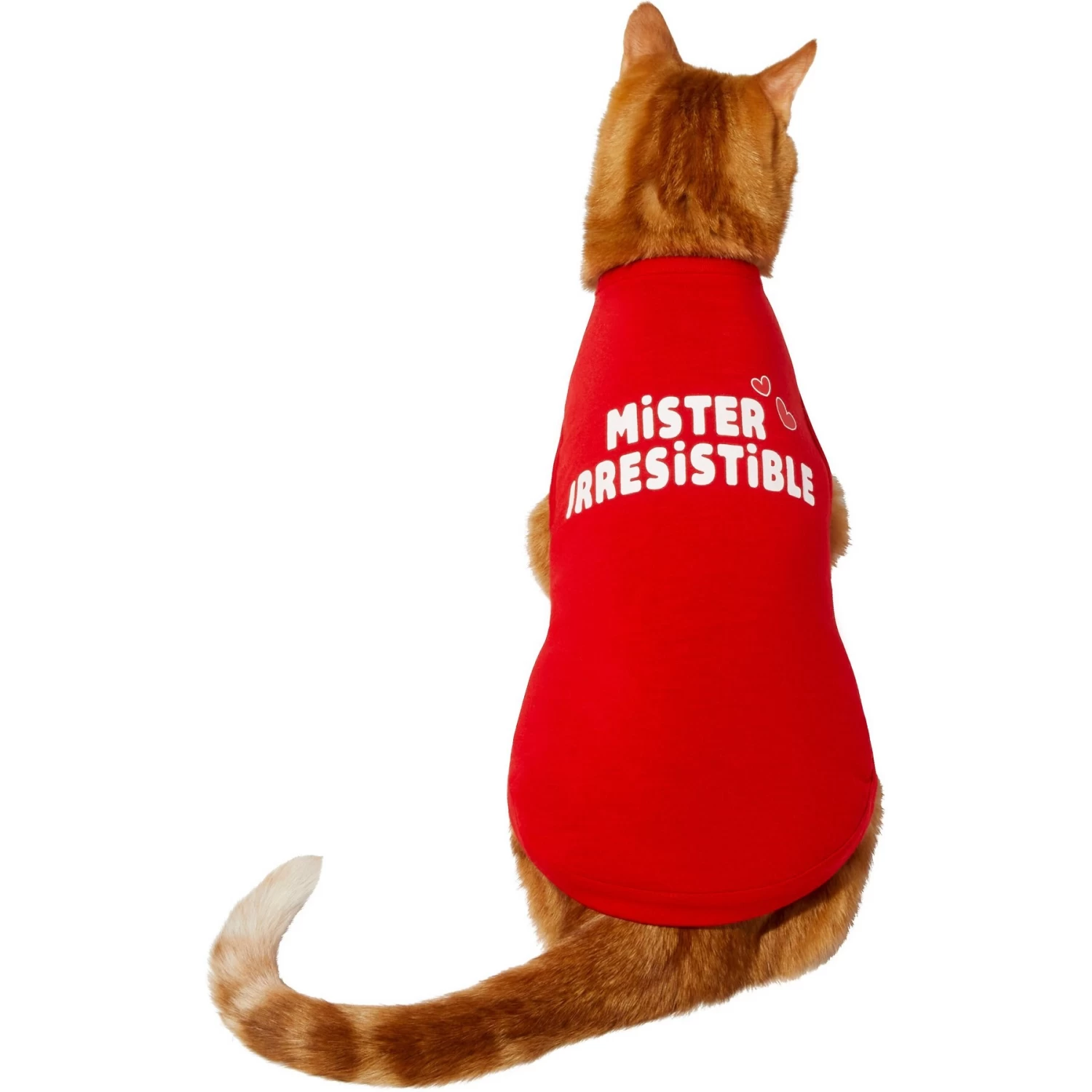 Frisco Mister Irresistible Dog & Cat T-Shirt 5 Frisco Mister Irresistible Dog & Cat T-Shirt - Image 3