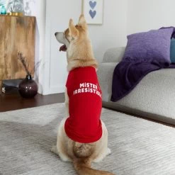 Frisco Mister Irresistible Dog & Cat T-Shirt 14 Frisco Mister Irresistible Dog & Cat T-Shirt -Pet Cat Supplies Shop 292026 PT6. AC SS1800 V1701797008
