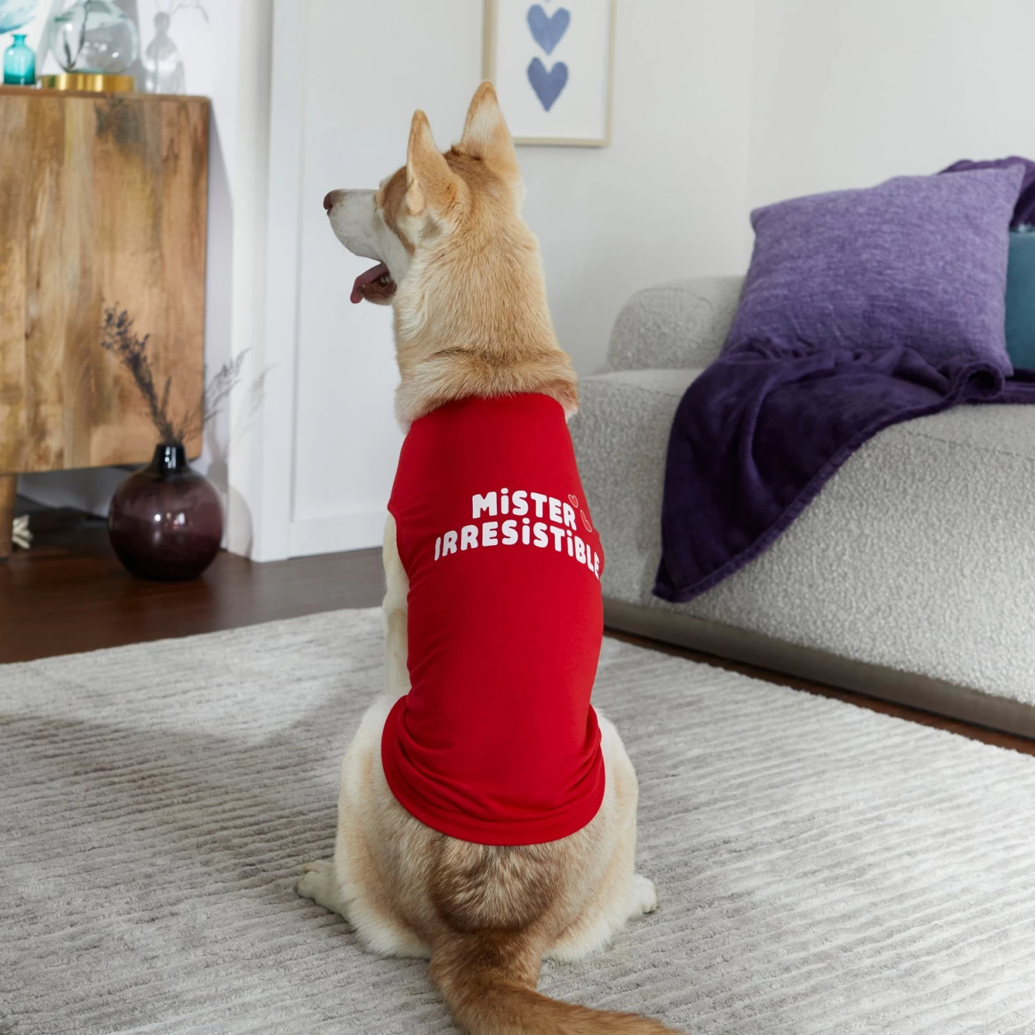 Frisco Mister Irresistible Dog & Cat T-Shirt 8 Frisco Mister Irresistible Dog & Cat T-Shirt - Image 6