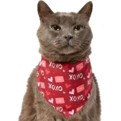 Frisco Love Letters Dog & Cat Bandana -Pet Cat Supplies Shop 292051 PT2. AC SS1800 V1637269050
