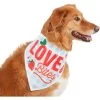 Frisco Love Bites Dog & Cat Bandana -Pet Cat Supplies Shop 292054 MAIN. AC SS1800 V1637268755