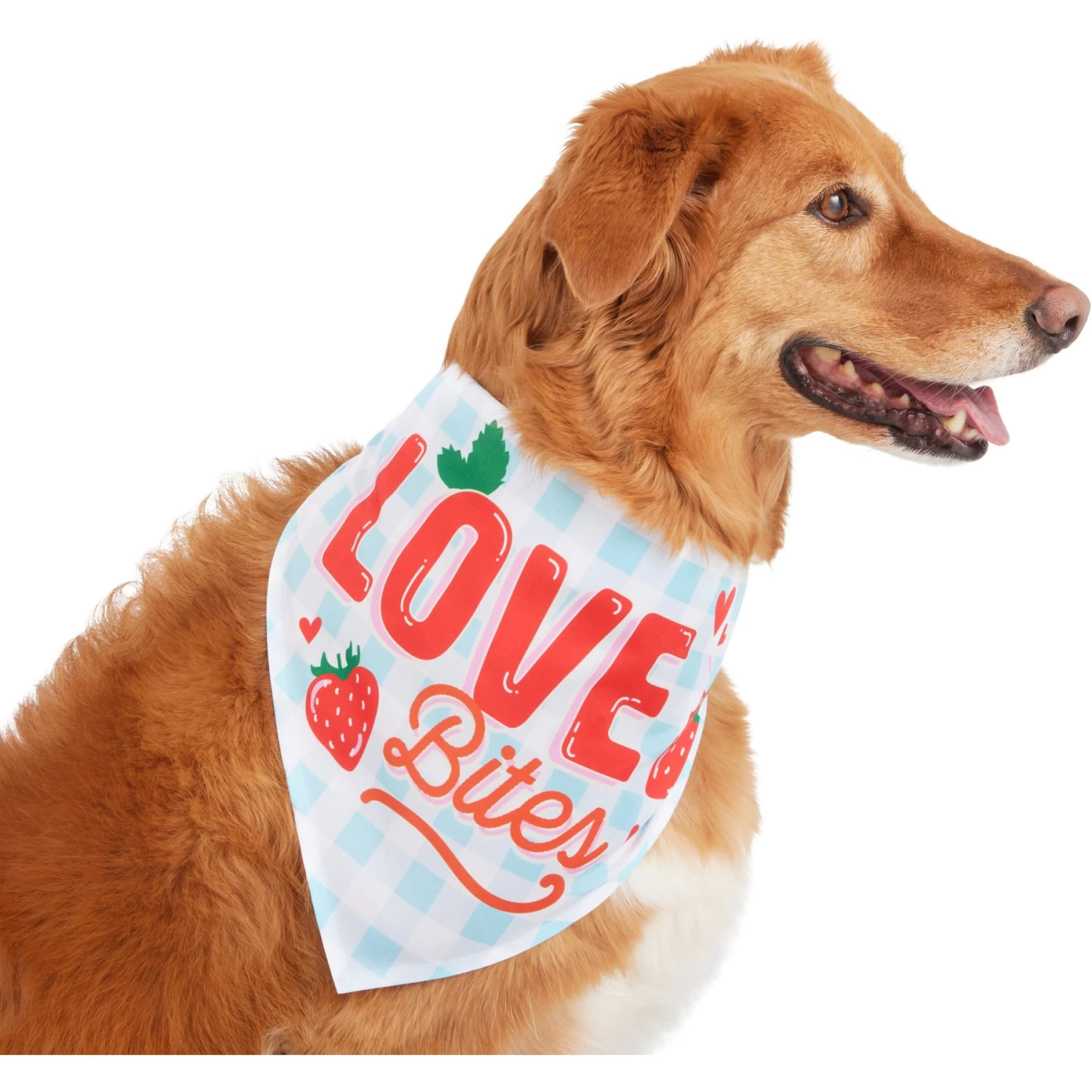 Frisco Love Bites Dog & Cat Bandana 3 Frisco Love Bites Dog & Cat Bandana