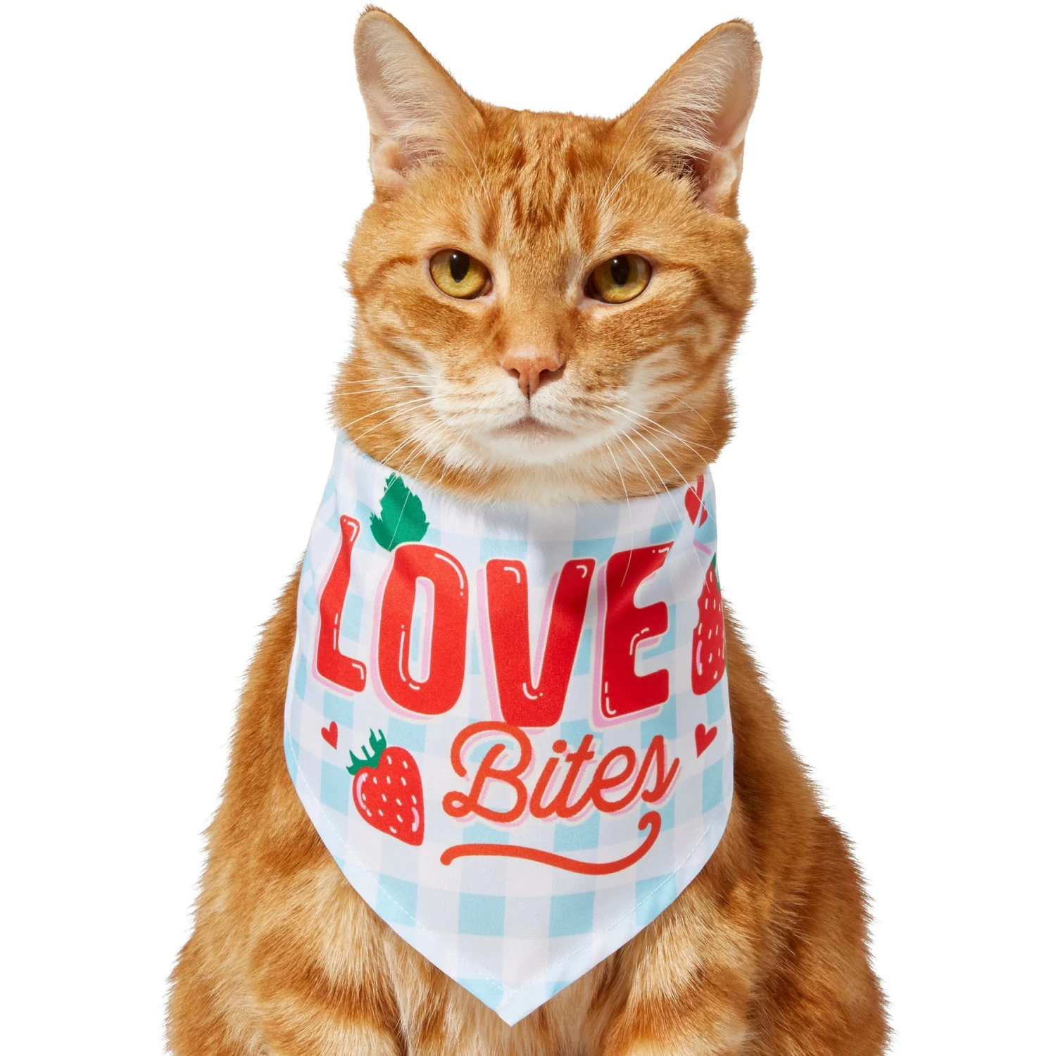 Frisco Love Bites Dog & Cat Bandana 5 Frisco Love Bites Dog & Cat Bandana - Image 3