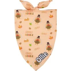 Frisco Quirky Thanksgiving Personalized Dog & Cat Bandana