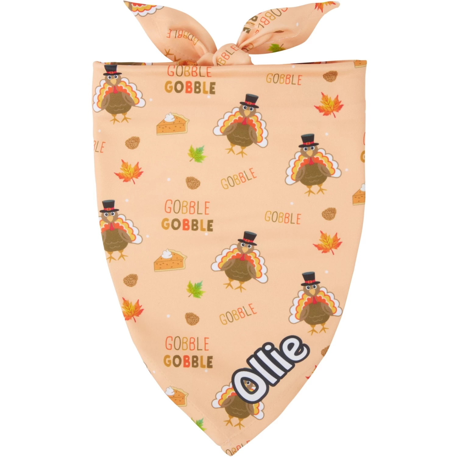 Frisco Quirky Thanksgiving Personalized Dog & Cat Bandana 3 Frisco Quirky Thanksgiving Personalized Dog & Cat Bandana