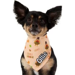 Frisco Quirky Thanksgiving Personalized Dog & Cat Bandana 17 Frisco Quirky Thanksgiving Personalized Dog & Cat Bandana -Pet Cat Supplies Shop 296986 PT6. AC SS1800 V1627654020