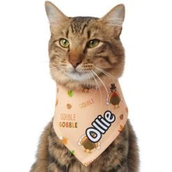 Frisco Quirky Thanksgiving Personalized Dog & Cat Bandana 18 Frisco Quirky Thanksgiving Personalized Dog & Cat Bandana -Pet Cat Supplies Shop 296986 PT7. AC SS1800 V1627654903