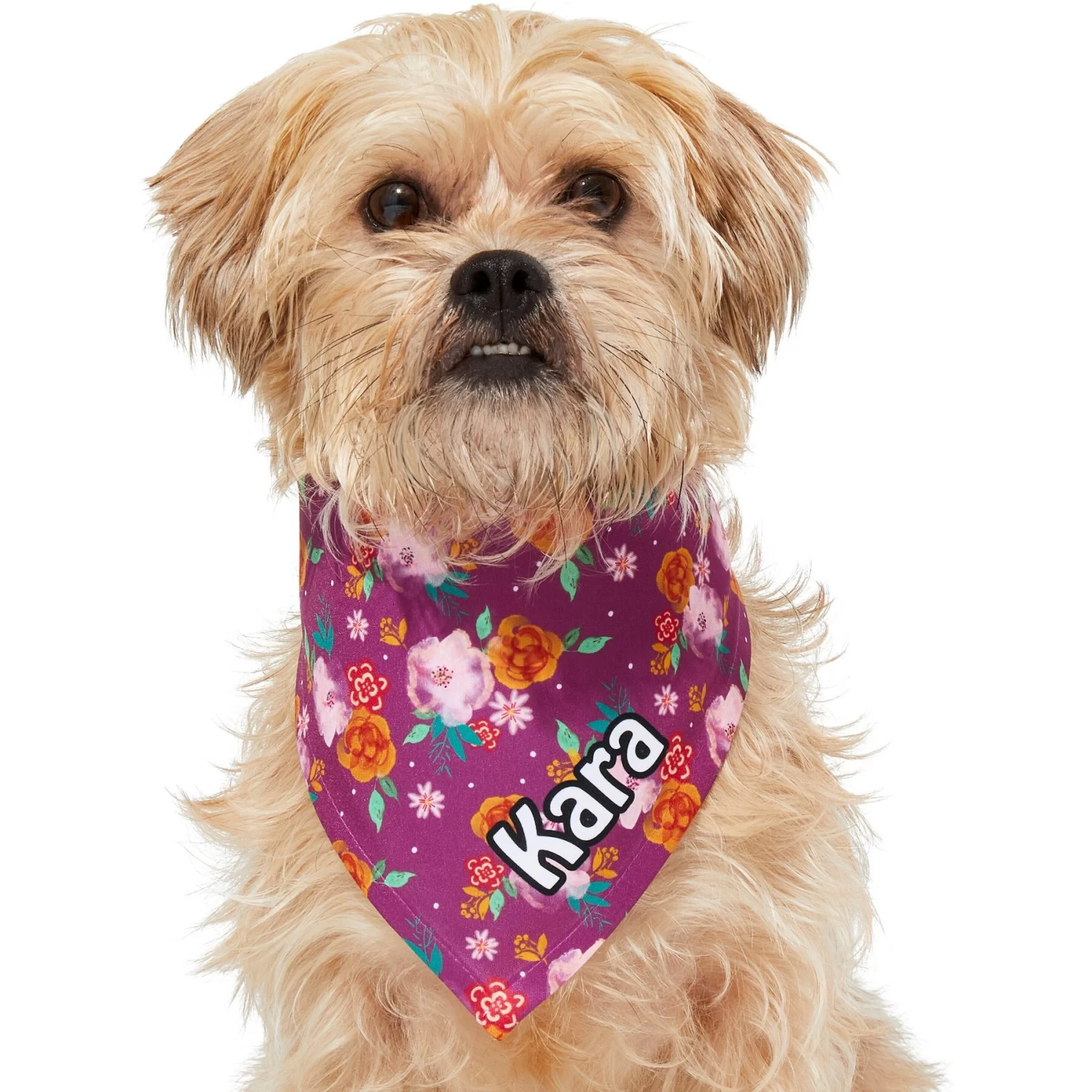Frisco Fall Floral Personalized Dog & Cat Bandana 9 Frisco Fall Floral Personalized Dog & Cat Bandana - Image 7