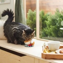 Frisco Brunch Teacup Plush Cat Toy With Catnip 7 Frisco Brunch Teacup Plush Cat Toy With Catnip -Pet Cat Supplies Shop 297292 PT2. AC SS1800 V1642088843