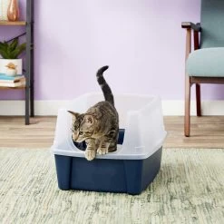 Frisco Plastic Litter Scooper With Caddy & IRIS USA Open Top Litter Box With Scatter Shield -Pet Cat Supplies Shop 298166 PT6. AC SS1800 V1623202669