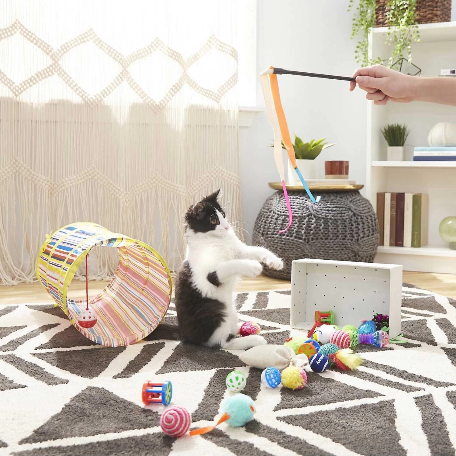 Sheba Meaty Tender Sticks Salmon Flavored Soft Adult Cat Treats & Frisco Plush, Teaser, Ball & Tunnel Variety Pack Cat Toy With Catnip 7 Sheba Meaty Tender Sticks Salmon Flavored Soft Adult Cat Treats & Frisco Plush, Teaser, Ball & Tunnel Variety Pack Cat Toy With Catnip - Image 5