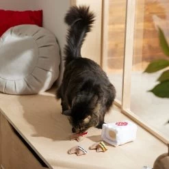 Frisco Lunar New Year Fortune Cookie Plush Cat Toy With Catnip 7 Frisco Lunar New Year Fortune Cookie Plush Cat Toy With Catnip -Pet Cat Supplies Shop 298909 PT3. AC SS1800 V1640269104