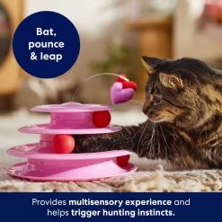 Frisco Unicorn Cat Tracks Cat Toy With Catnip -Pet Cat Supplies Shop 298958 PT3. AC SS1800 V1701797064