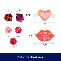 Frisco Valentine Variety Pack Cat Toy With Catnip, 13 Count -Pet Cat Supplies Shop 298966 PT2. AC SS1800 V1701364858