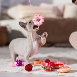 Frisco Valentine Variety Pack Cat Toy With Catnip, 13 Count -Pet Cat Supplies Shop 298966 PT3. AC SS1800 V1701364858